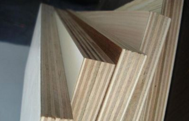  ǧ��ԭ���B(t��i)��ף��Ҷ��繝(ji��)������