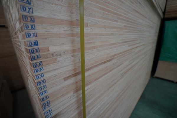 DX-���B(t��i)��